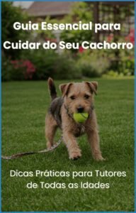 Guia Essencial Para Cuidar de Seu Dog